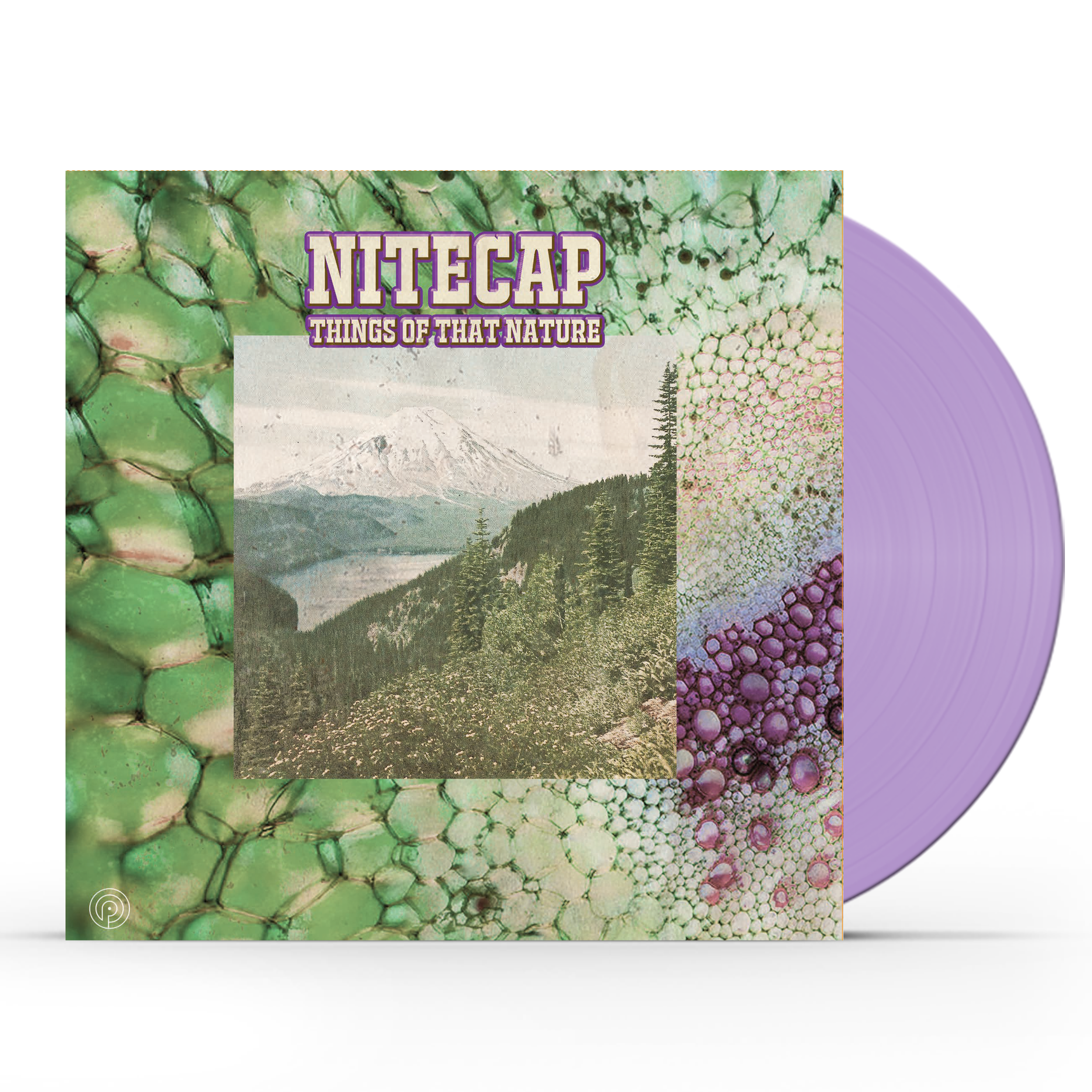 Nitecap Mockup.png__PID:91b39a28-cdf4-49ac-b1a3-03972a46e905