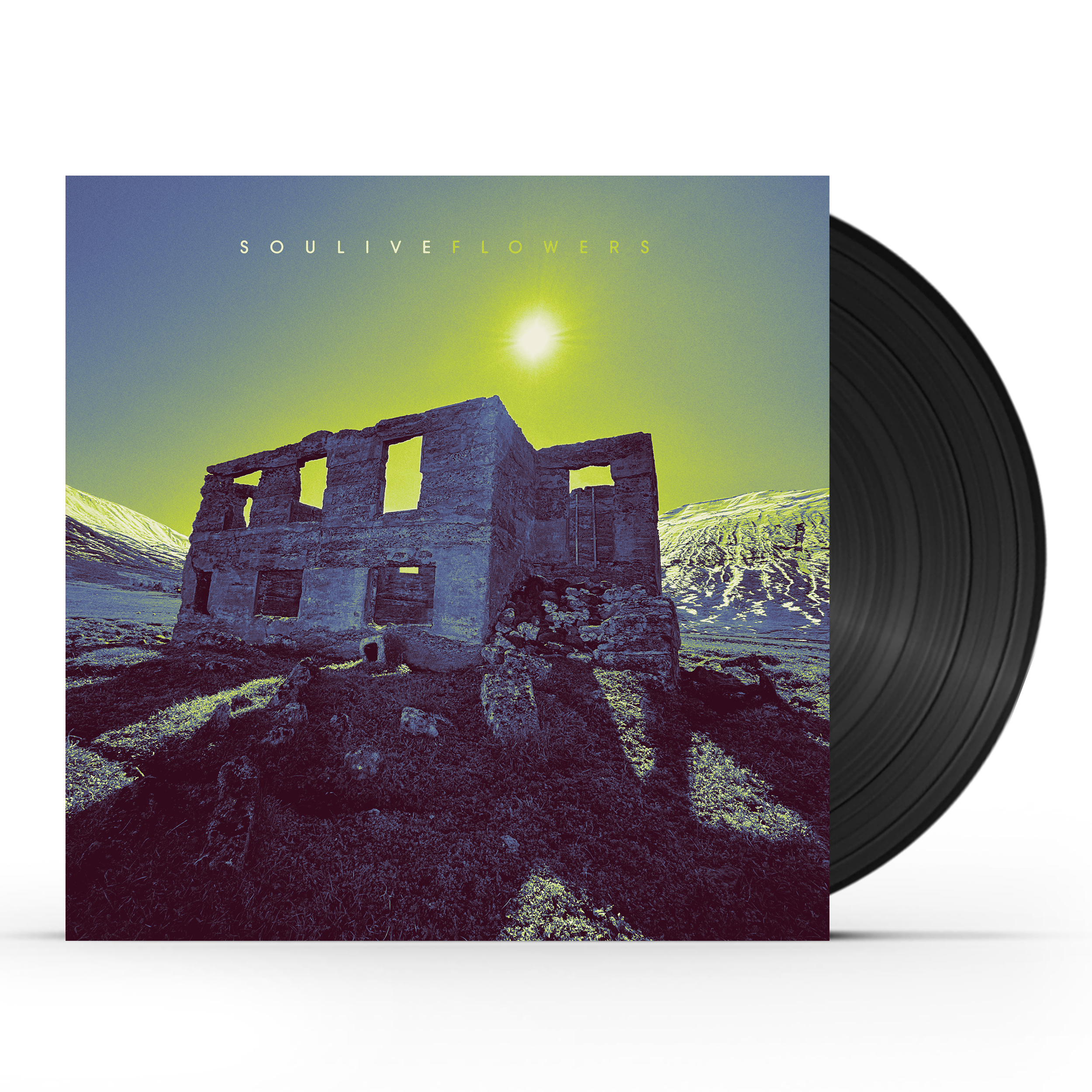 Soulive - Flowers (LP)
