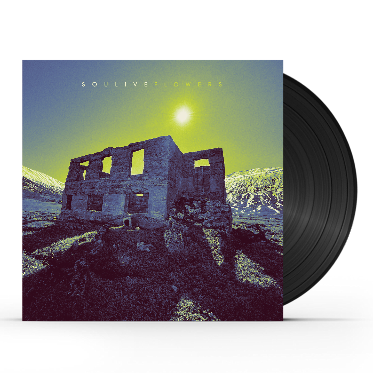 Soulive - Flowers (LP)