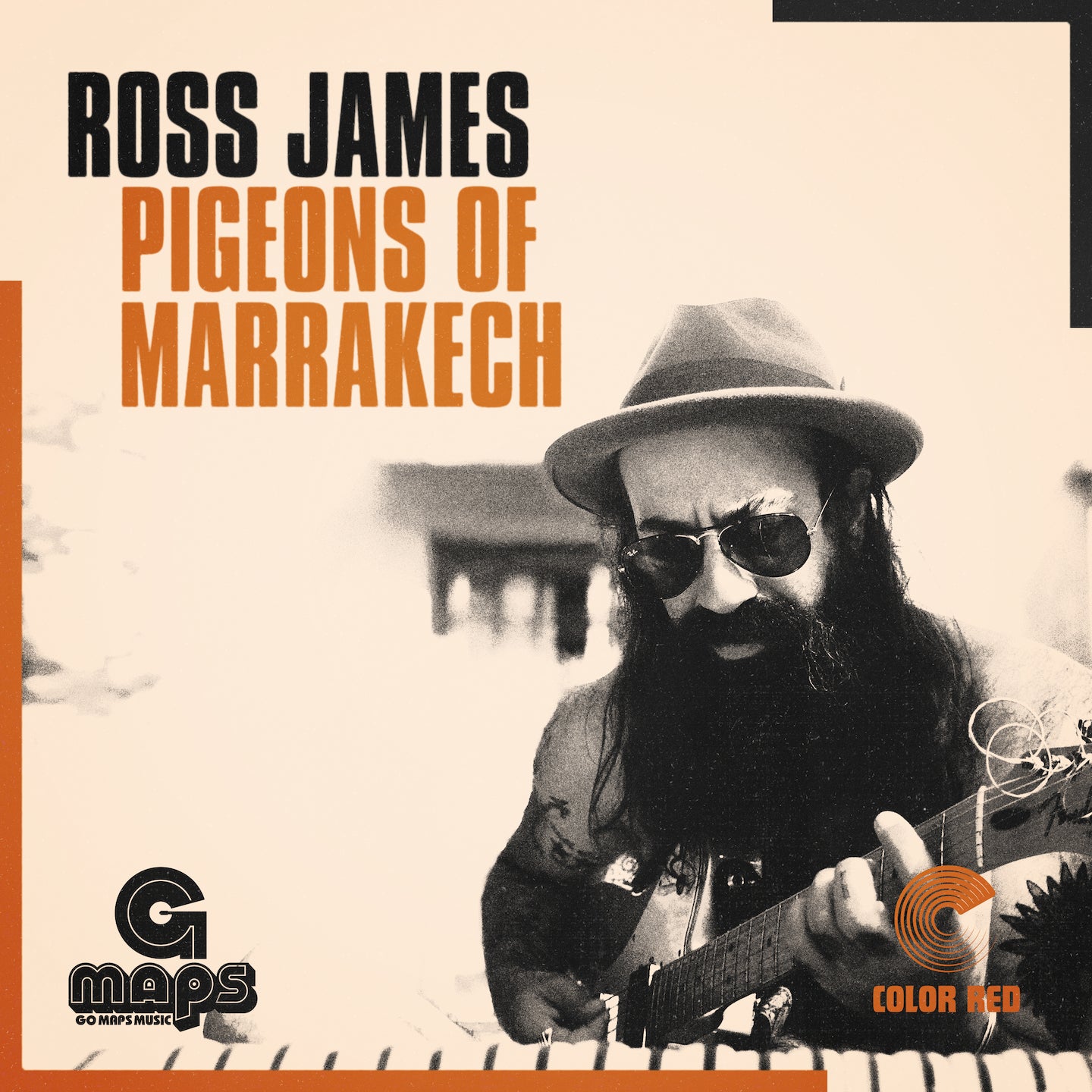 Pigeons Of Marrakech