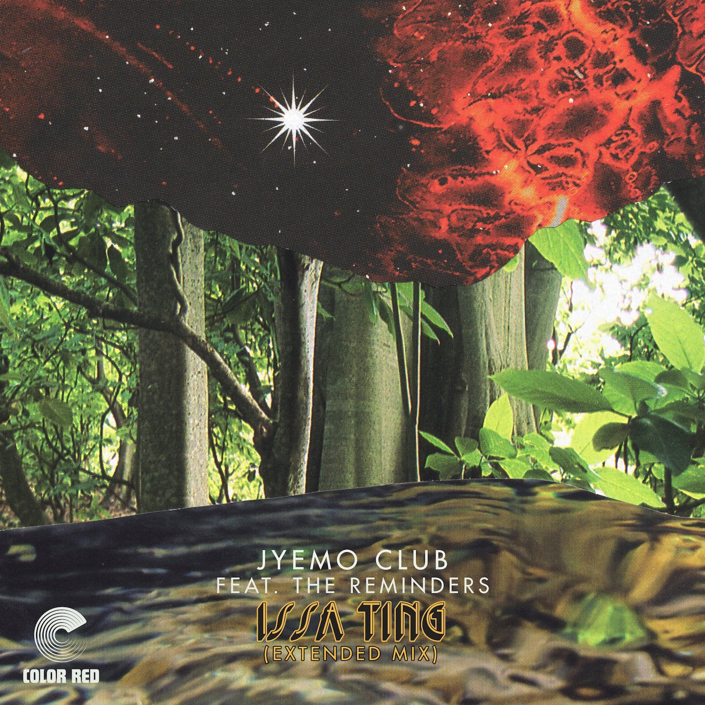 Issa Ting (Extended Mix)