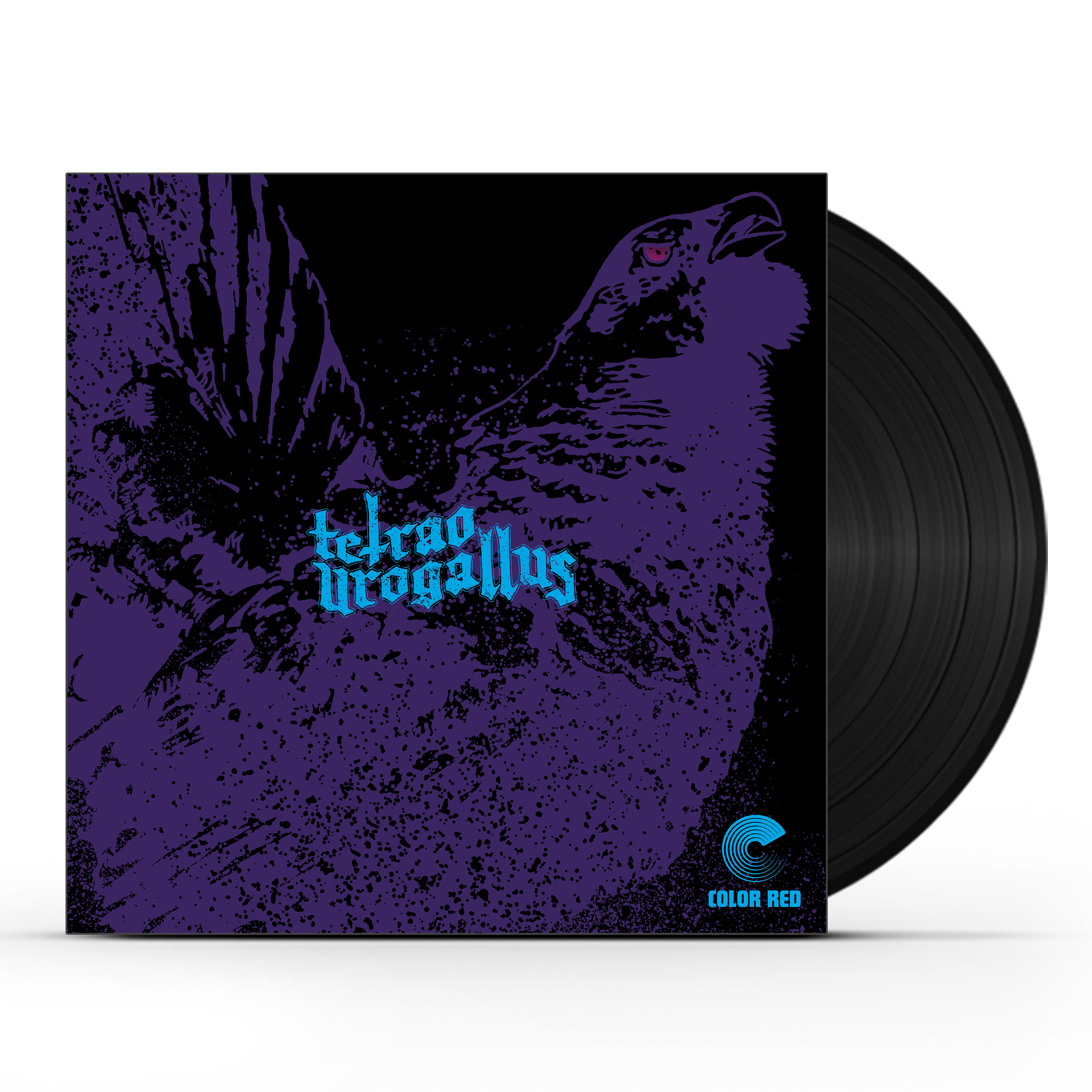 Tetrao Urogallus (LP)