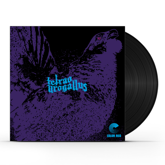 Tetrao Urogallus (LP)