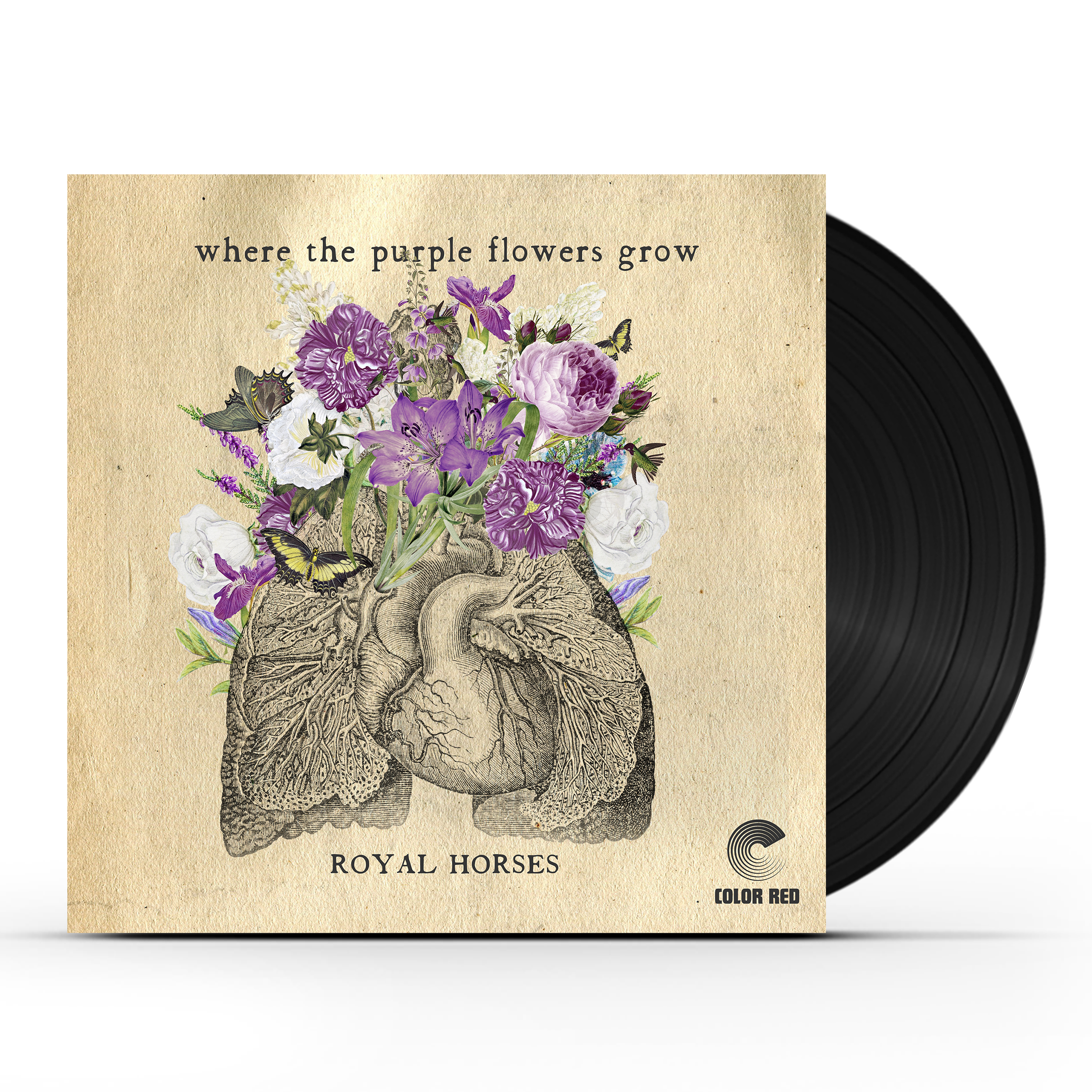 Royal Horses - Where The Purple Flowers Grow (LP)