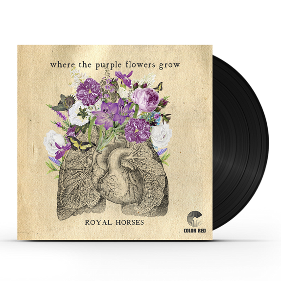 Royal Horses - Where The Purple Flowers Grow (LP)