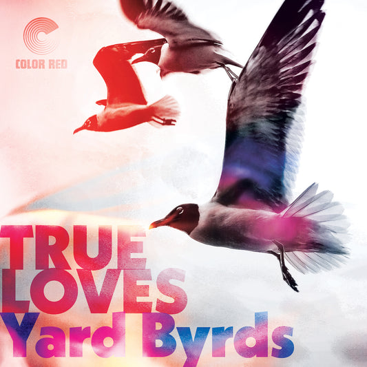 Yard Byrds