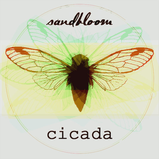Cicada