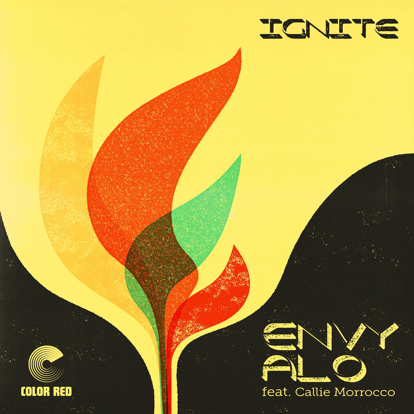 Ignite