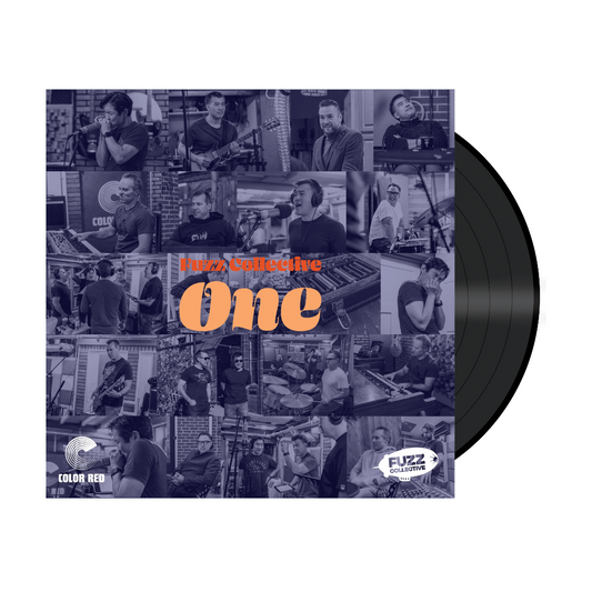 Fuzz Collective - One (LP)