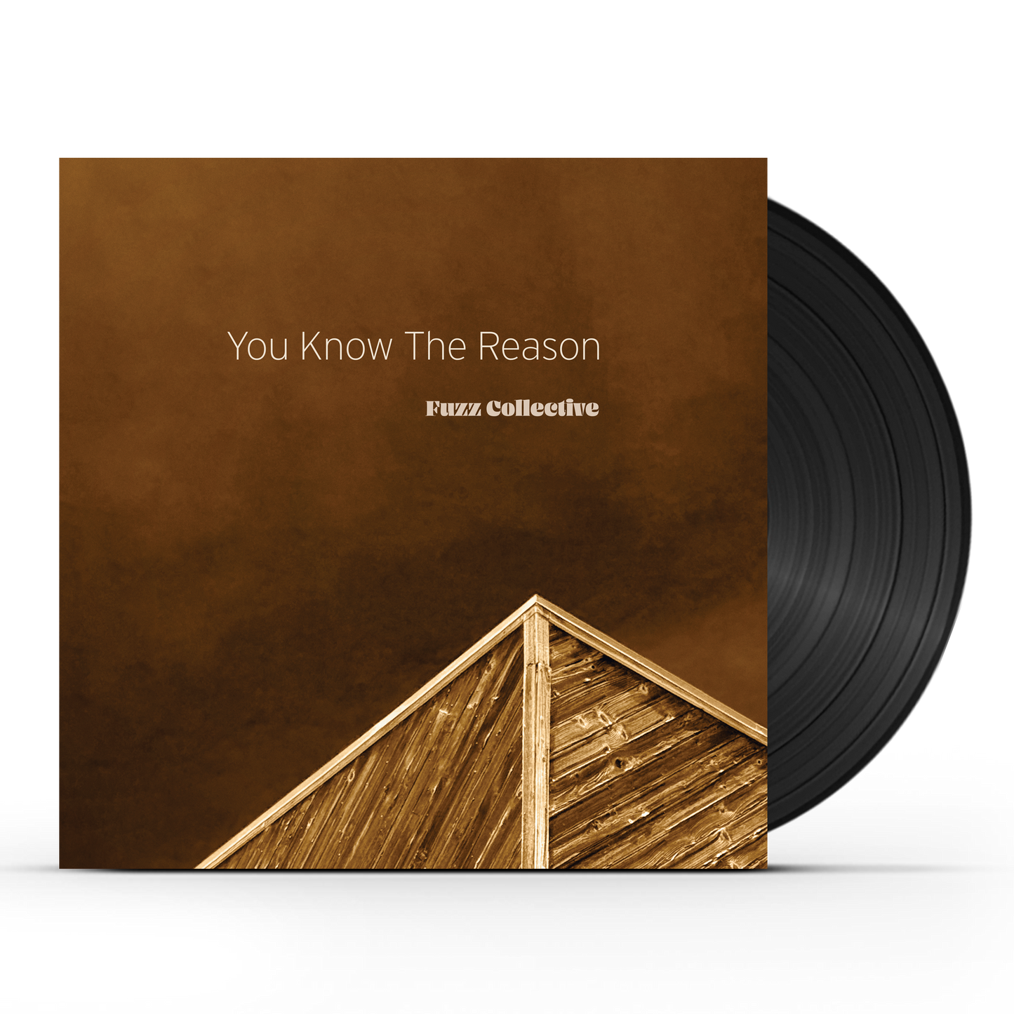 PRE-ORDER: Fuzz Collective - You Know The Reason (LP)