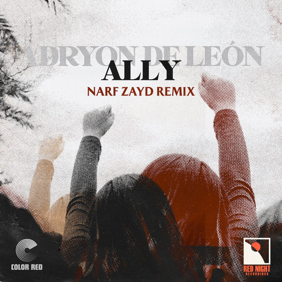 Ally (Narf Zayd Remix)