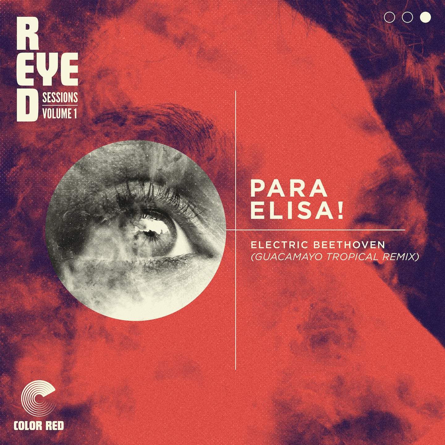 Para Elisa! (Guacamayo Tropical Remix)