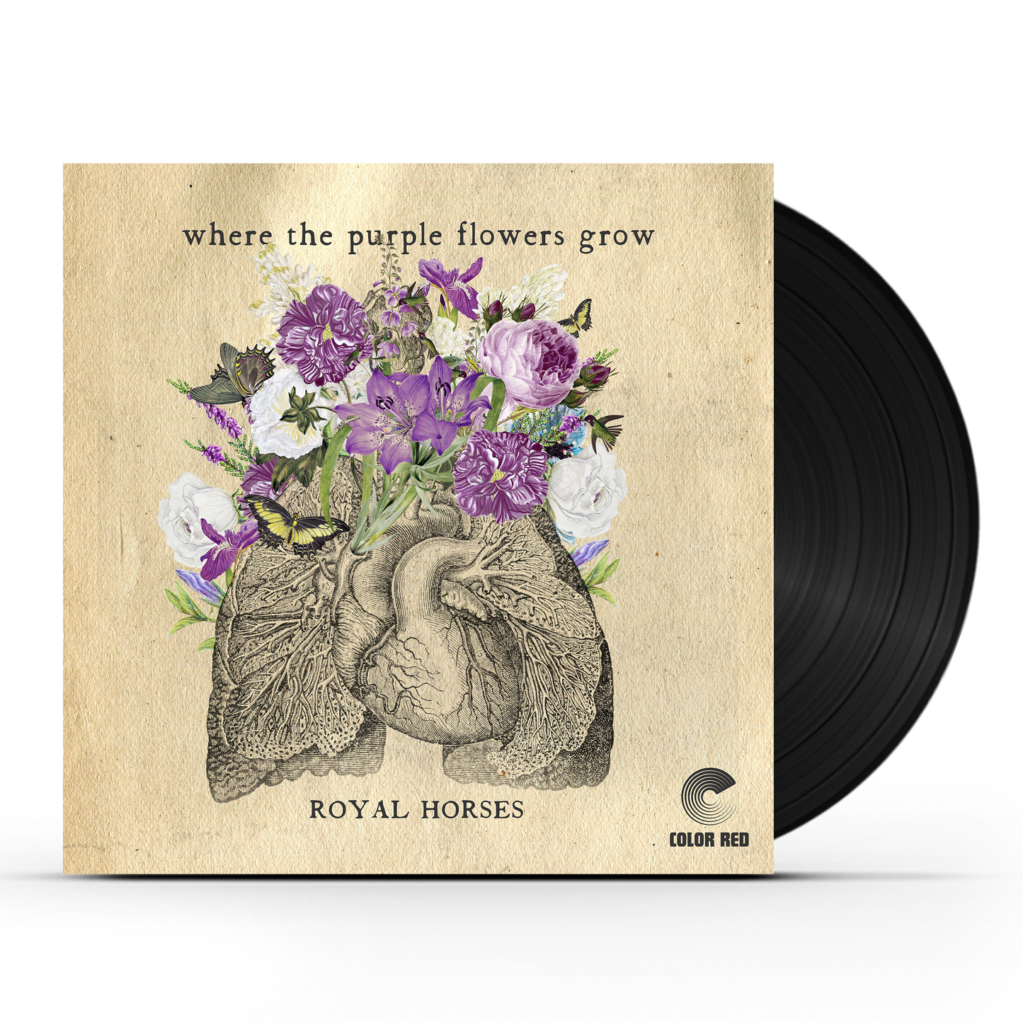 Royal Horses - Where The Purple Flowers Grow (LP)