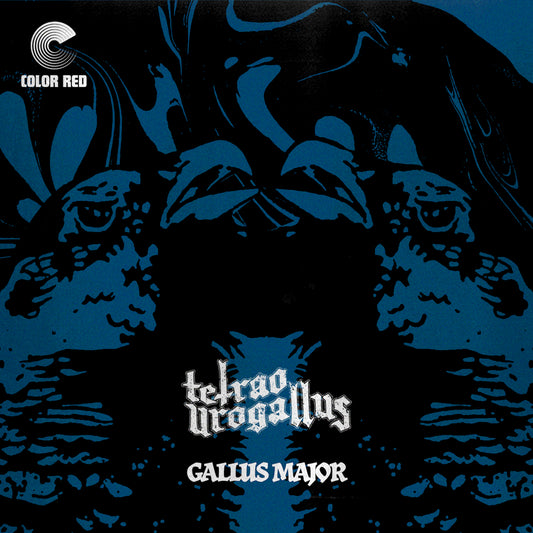 Gallus Major
