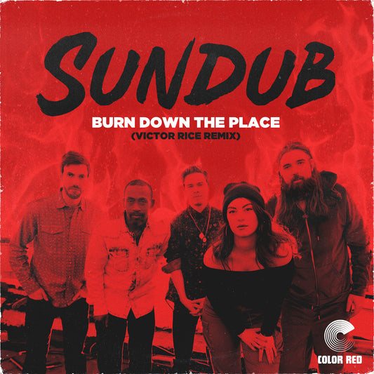 Burn Down The Place Dub