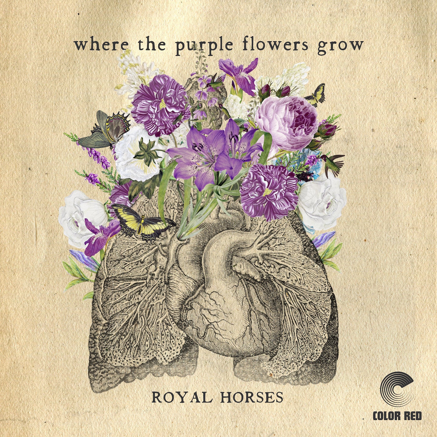 Where The Purple Flowers Grow